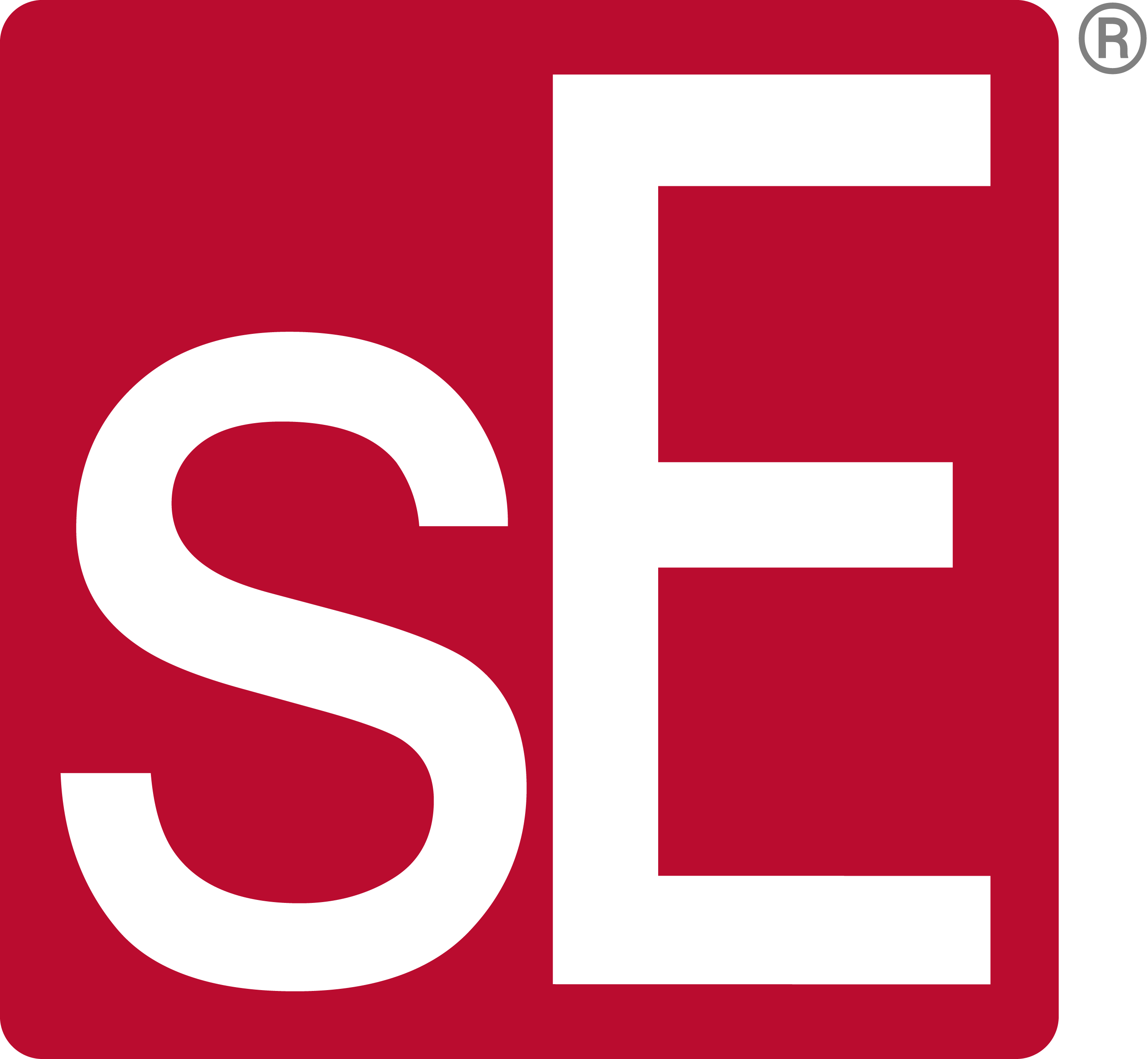 SE Electronics